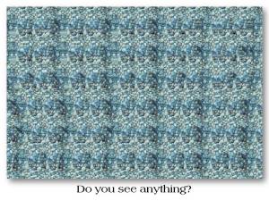 Do you see anything